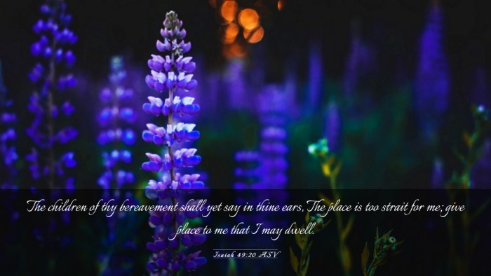 Picture 03 - Isaiah 49:20 ASV Desktop Wallpaper - The children of thy bereavement shall yet say in - Desktop Bible Verse Wallpaper