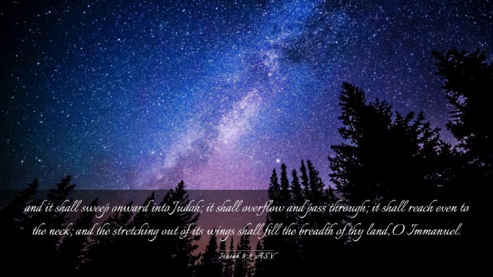Picture 03 - Isaiah 8:8 ASV Desktop Wallpaper - and it shall sweep onward into Judah; it shall - Desktop Bible Verse Wallpaper