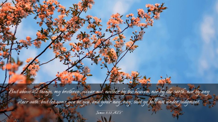 Picture 03 - James 5:12 ASV Desktop Wallpaper - But above all things, my brethren, swear not, - Desktop Bible Verse Wallpaper