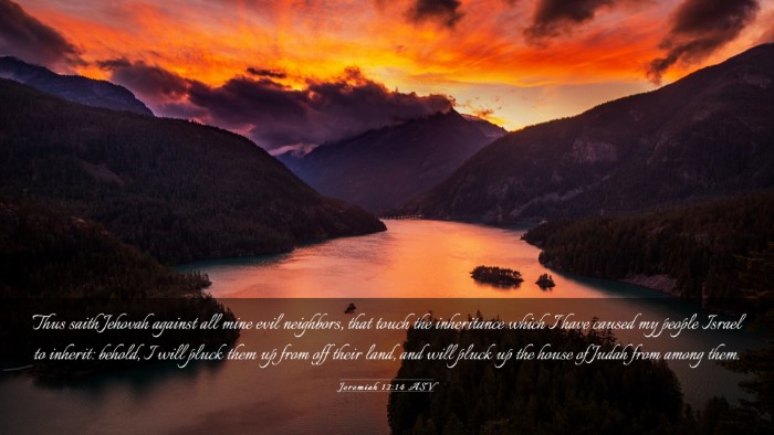 Picture 03 - Jeremiah 12:14 ASV Desktop Wallpaper - Thus saith Jehovah against all mine evil - Desktop Bible Verse Wallpaper