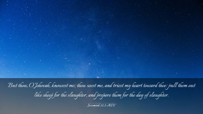 Picture 03 - Jeremiah 12:3 ASV Desktop Wallpaper - But thou, O Jehovah, knowest me; thou seest me, - Desktop Bible Verse Wallpaper