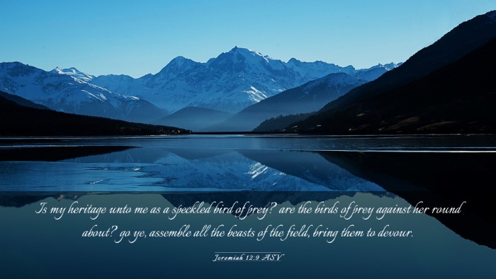Picture 03 - Jeremiah 12:9 ASV Desktop Wallpaper - Is my heritage unto me as a speckled bird of - Desktop Bible Verse Wallpaper