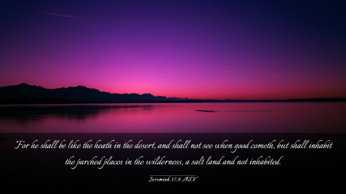 Picture 03 - Jeremiah 17:6 ASV Desktop Wallpaper - For he shall be like the heath in the desert, and - Desktop Bible Verse Wallpaper