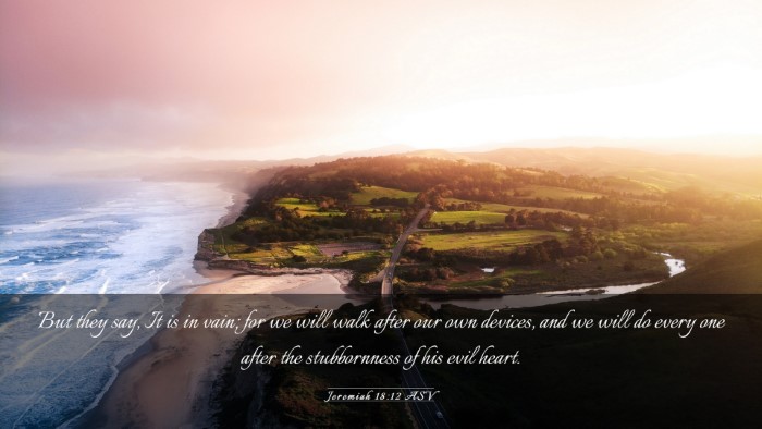 Picture 03 - Jeremiah 18:12 ASV Desktop Wallpaper - But they say, It is in vain; for we will walk - Desktop Bible Verse Wallpaper