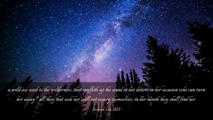 Picture 03 - Jeremiah 2:24 ASV Desktop Wallpaper - a wild ass used to the wilderness, that snuffeth - Desktop Bible Verse Wallpaper