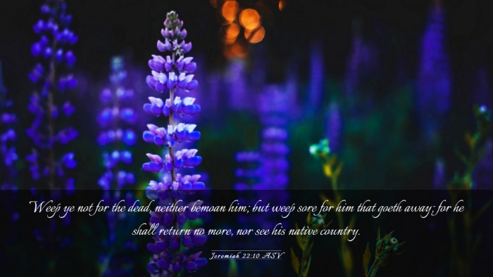 Picture 03 - Jeremiah 22:10 ASV Desktop Wallpaper - Weep ye not for the dead, neither bemoan him; but - Desktop Bible Verse Wallpaper