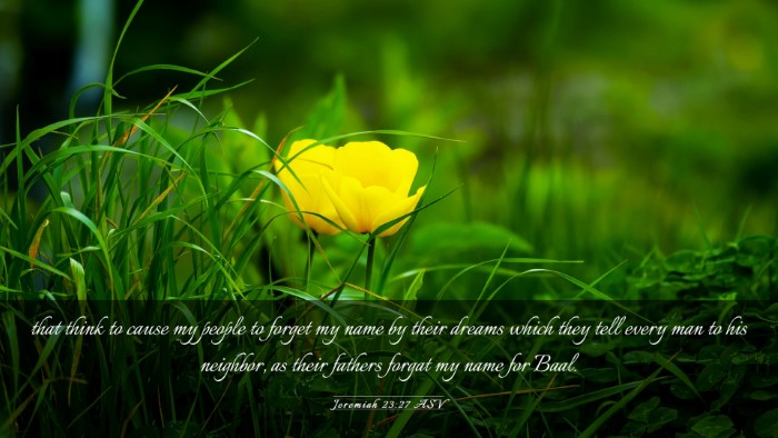Picture 03 - Jeremiah 23:27 ASV Desktop Wallpaper - that think to cause my people to forget my name - Desktop Bible Verse Wallpaper
