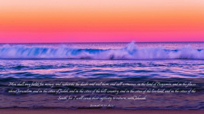 Picture 03 - Jeremiah 32:44 ASV Desktop Wallpaper - Men shall buy fields for money, and subscribe the - Desktop Bible Verse Wallpaper