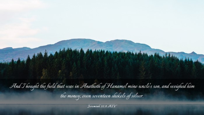 Picture 03 - Jeremiah 32:9 ASV Desktop Wallpaper - And I bought the field that was in Anathoth of - Desktop Bible Verse Wallpaper