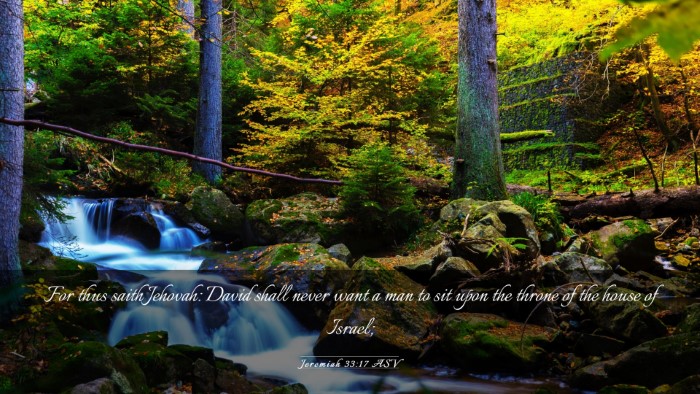 Picture 03 - Jeremiah 33:17 ASV Desktop Wallpaper - For thus saith Jehovah: David shall never want a - Desktop Bible Verse Wallpaper