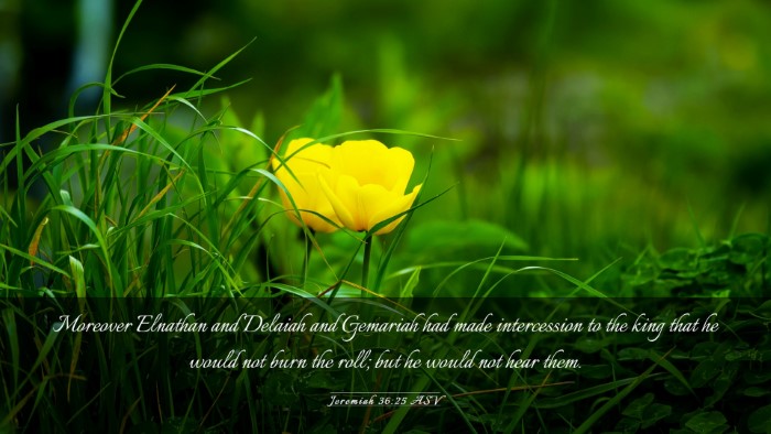 Picture 03 - Jeremiah 36:25 ASV Desktop Wallpaper - Moreover Elnathan and Delaiah and Gemariah had - Desktop Bible Verse Wallpaper