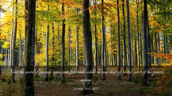 Picture 03 - Jeremiah 39:15 ASV Desktop Wallpaper - Now the word of Jehovah came unto Jeremiah, while - Desktop Bible Verse Wallpaper