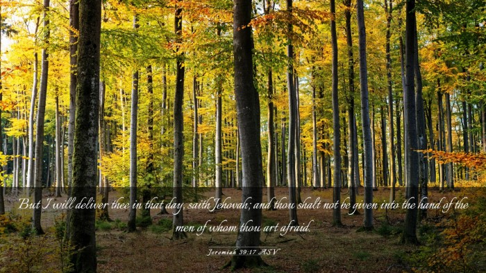 Picture 03 - Jeremiah 39:17 ASV Desktop Wallpaper - But I will deliver thee in that day, saith - Desktop Bible Verse Wallpaper