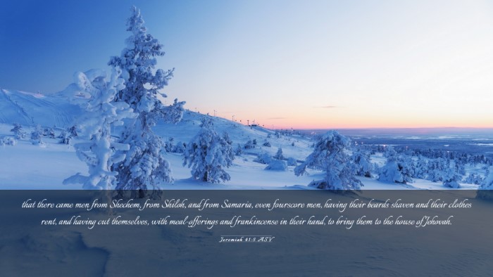 Picture 03 - Jeremiah 41:5 ASV Desktop Wallpaper - that there came men from Shechem, from Shiloh, - Desktop Bible Verse Wallpaper