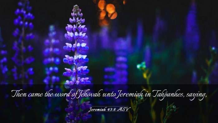 Picture 03 - Jeremiah 43:8 ASV Desktop Wallpaper - Then came the word of Jehovah unto Jeremiah in - Desktop Bible Verse Wallpaper