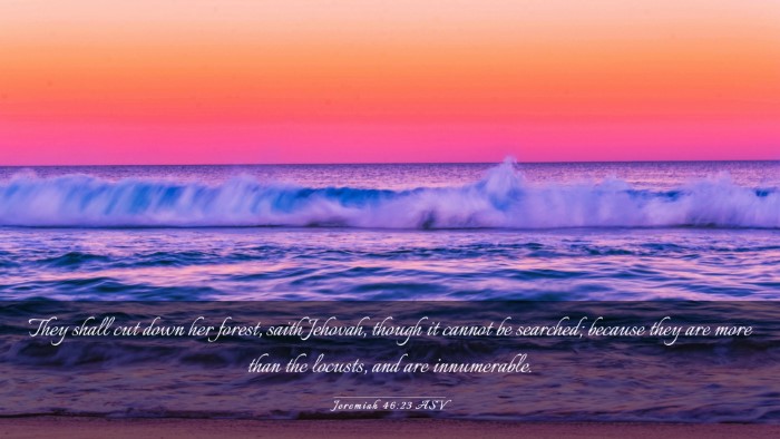 Picture 03 - Jeremiah 46:23 ASV Desktop Wallpaper - They shall cut down her forest, saith Jehovah, - Desktop Bible Verse Wallpaper