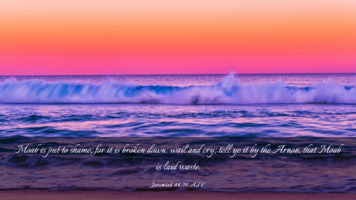 Picture 03 - Jeremiah 48:20 ASV Desktop Wallpaper - Moab is put to shame; for it is broken down: wail - Desktop Bible Verse Wallpaper