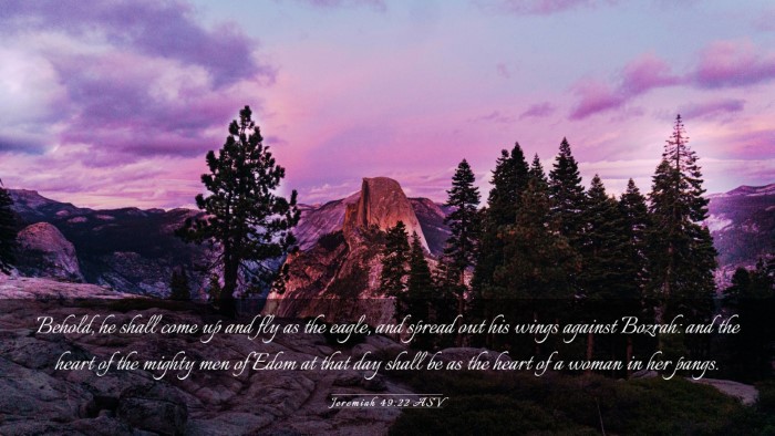 Picture 03 - Jeremiah 49:22 ASV Desktop Wallpaper - Behold, he shall come up and fly as the eagle, - Desktop Bible Verse Wallpaper