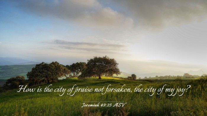 Picture 03 - Jeremiah 49:25 ASV Desktop Wallpaper - How is the city of praise not forsaken, the city - Desktop Bible Verse Wallpaper