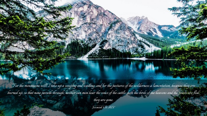 Picture 03 - Jeremiah 9:10 ASV Desktop Wallpaper - For the mountains will I take up a weeping and - Desktop Bible Verse Wallpaper