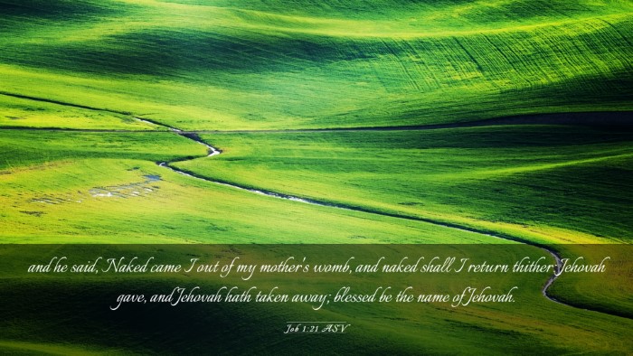 Picture 03 - Job 1:21 ASV Desktop Wallpaper - and he said, Naked came I out of my mother's - Desktop Bible Verse Wallpaper
