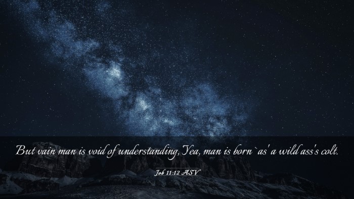 Picture 03 - Job 11:12 ASV Desktop Wallpaper - But vain man is void of understanding, Yea, man - Desktop Bible Verse Wallpaper