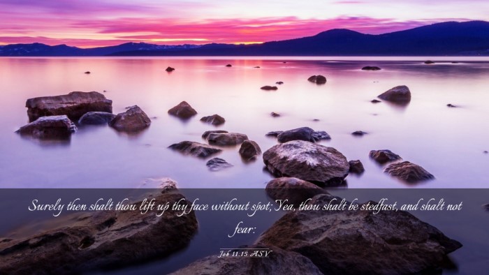 Picture 03 - Job 11:15 ASV Desktop Wallpaper - Surely then shalt thou lift up thy face without - Desktop Bible Verse Wallpaper