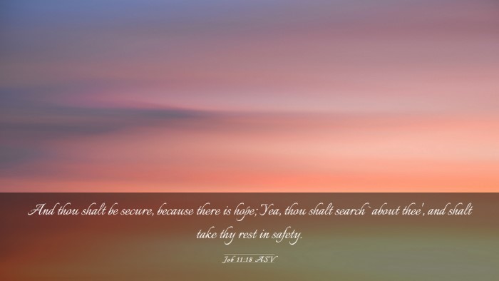 Picture 03 - Job 11:18 ASV Desktop Wallpaper - And thou shalt be secure, because there is hope; - Desktop Bible Verse Wallpaper