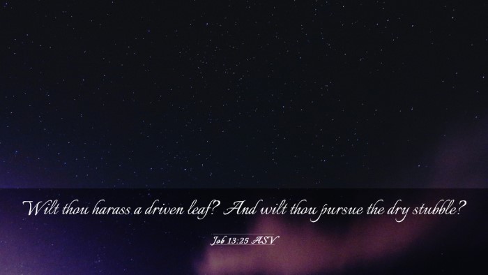 Picture 03 - Job 13:25 ASV Desktop Wallpaper - Wilt thou harass a driven leaf? And wilt thou - Desktop Bible Verse Wallpaper