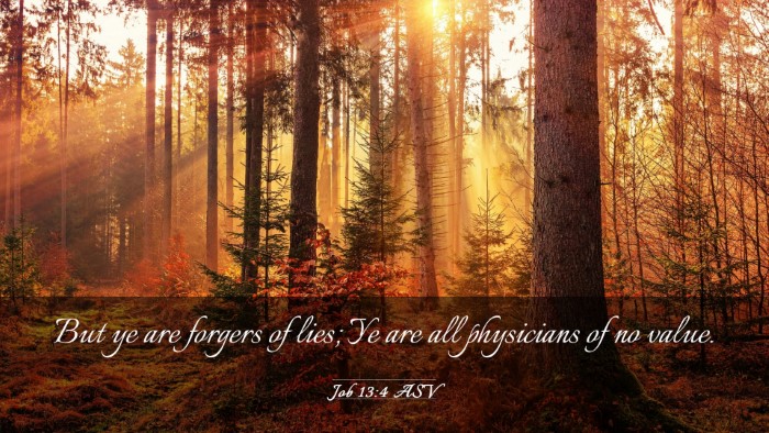 Picture 03 - Job 13:4 ASV Desktop Wallpaper - But ye are forgers of lies; Ye are all physicians - Desktop Bible Verse Wallpaper