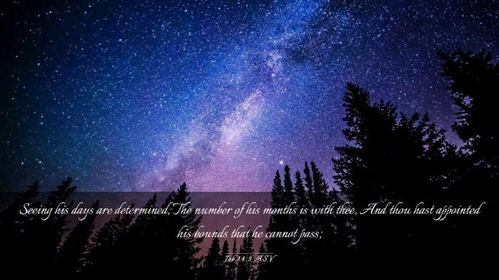 Picture 03 - Job 14:5 ASV Desktop Wallpaper - Seeing his days are determined, The number of his - Desktop Bible Verse Wallpaper