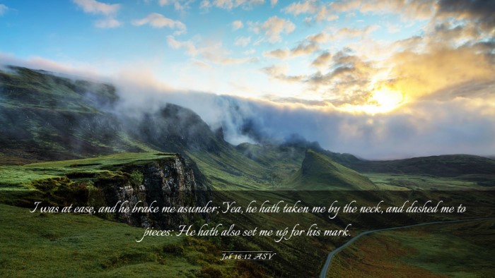 Picture 03 - Job 16:12 ASV Desktop Wallpaper - I was at ease, and he brake me asunder; Yea, he - Desktop Bible Verse Wallpaper