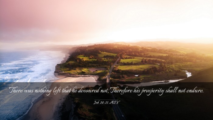 Picture 03 - Job 20:21 ASV Desktop Wallpaper - There was nothing left that he devoured not; - Desktop Bible Verse Wallpaper
