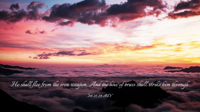 Picture 03 - Job 20:24 ASV Desktop Wallpaper - He shall flee from the iron weapon, And the bow - Desktop Bible Verse Wallpaper