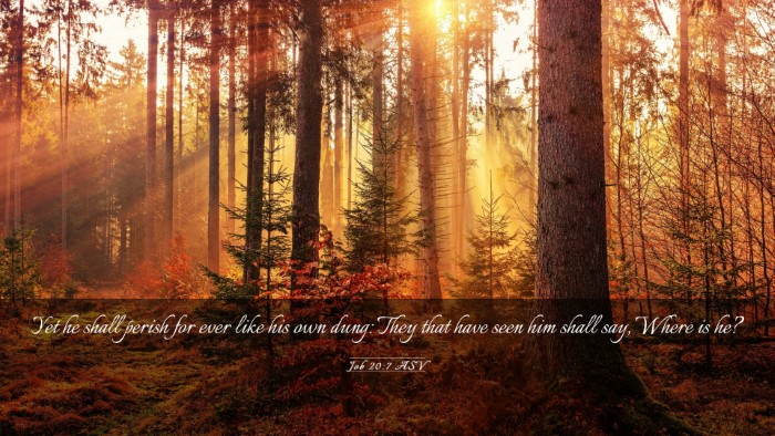 Picture 03 - Job 20:7 ASV Desktop Wallpaper - Yet he shall perish for ever like his own dung: - Desktop Bible Verse Wallpaper