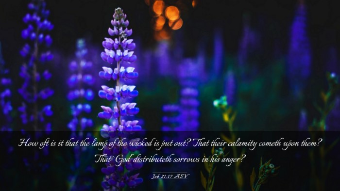 Picture 03 - Job 21:17 ASV Desktop Wallpaper - How oft is it that the lamp of the wicked is put - Desktop Bible Verse Wallpaper
