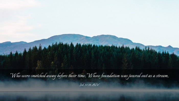 Picture 03 - Job 22:16 ASV Desktop Wallpaper - Who were snatched away before their time, Whose - Desktop Bible Verse Wallpaper