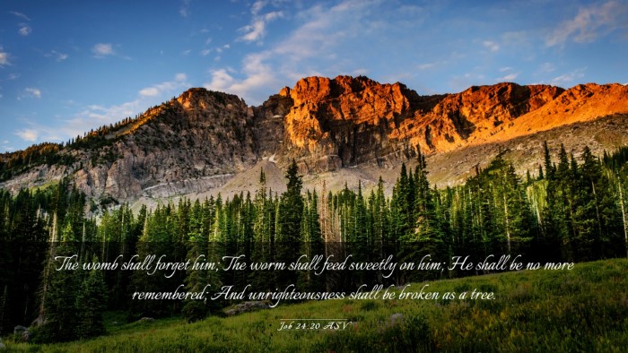 Picture 03 - Job 24:20 ASV Desktop Wallpaper - The womb shall forget him; The worm shall feed - Desktop Bible Verse Wallpaper