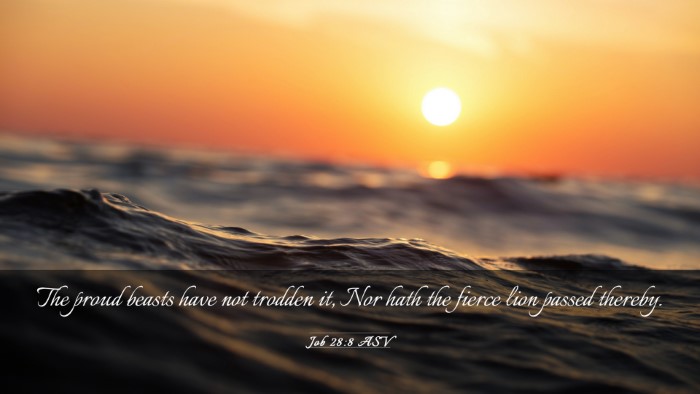 Picture 03 - Job 28:8 ASV Desktop Wallpaper - The proud beasts have not trodden it, Nor hath - Desktop Bible Verse Wallpaper