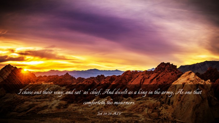 Picture 03 - Job 29:25 ASV Desktop Wallpaper - I chose out their way, and sat `as' chief, And - Desktop Bible Verse Wallpaper