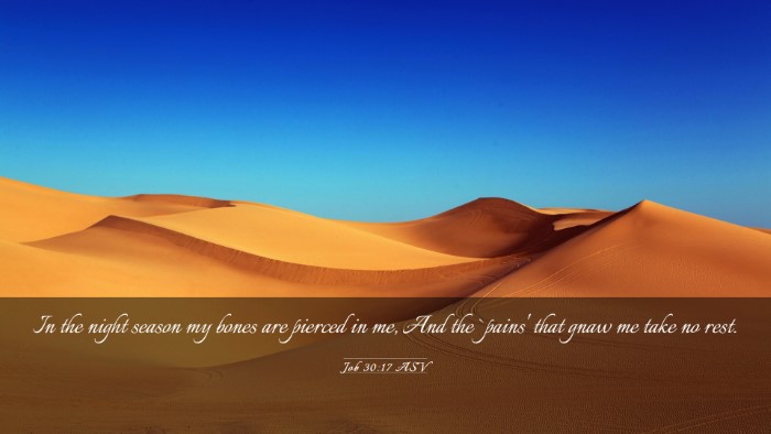 Picture 03 - Job 30:17 ASV Desktop Wallpaper - In the night season my bones are pierced in me, - Desktop Bible Verse Wallpaper