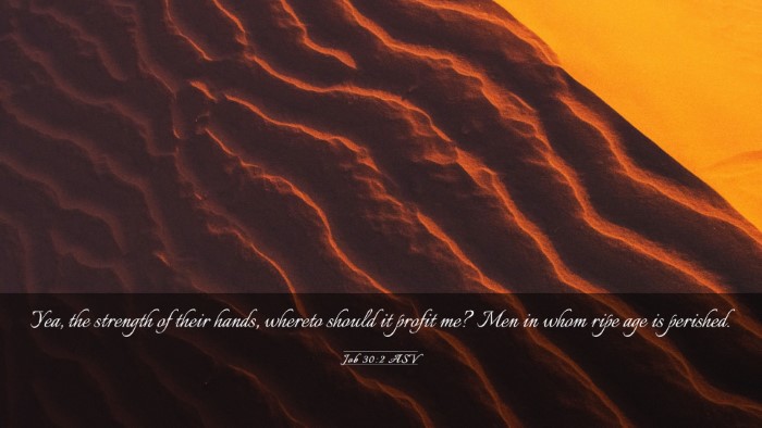 Picture 03 - Job 30:2 ASV Desktop Wallpaper - Yea, the strength of their hands, whereto should - Desktop Bible Verse Wallpaper