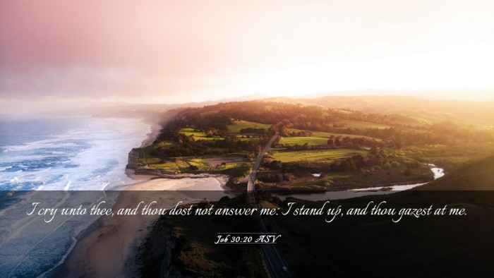 Picture 03 - Job 30:20 ASV Desktop Wallpaper - I cry unto thee, and thou dost not answer me: I - Desktop Bible Verse Wallpaper