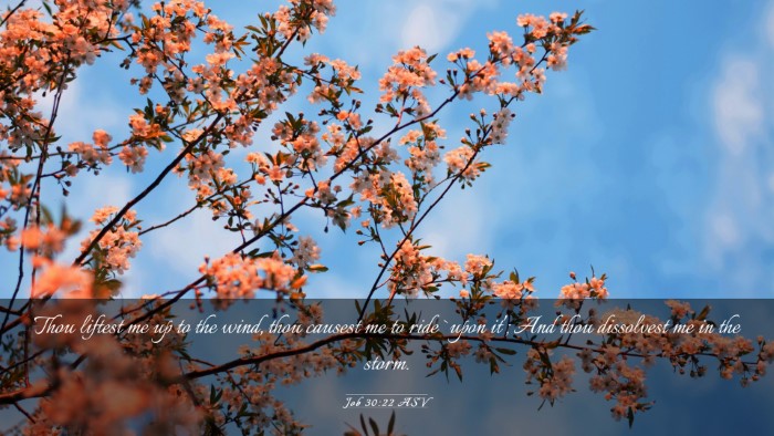 Picture 03 - Job 30:22 ASV Desktop Wallpaper - Thou liftest me up to the wind, thou causest me - Desktop Bible Verse Wallpaper