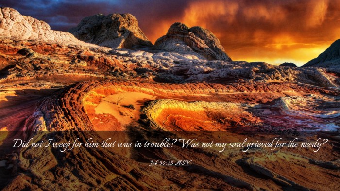 Picture 03 - Job 30:25 ASV Desktop Wallpaper - Did not I weep for him that was in trouble? Was - Desktop Bible Verse Wallpaper