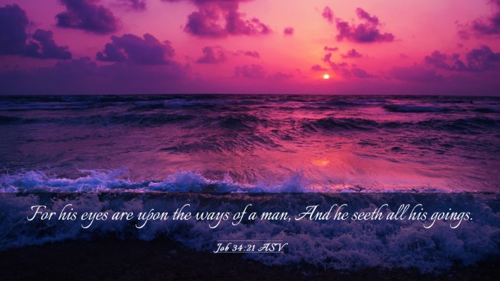 Picture 03 - Job 34:21 ASV Desktop Wallpaper - For his eyes are upon the ways of a man, And he - Desktop Bible Verse Wallpaper