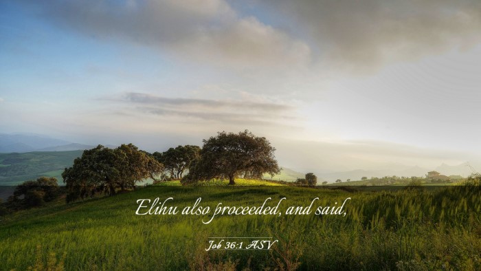 Picture 03 - Job 36:1 ASV Desktop Wallpaper - Elihu also proceeded, and - Desktop Bible Verse Wallpaper