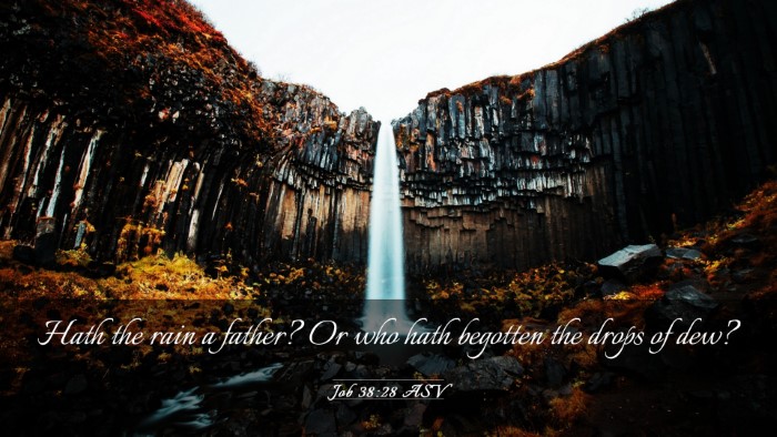 Picture 03 - Job 38:28 ASV Desktop Wallpaper - Hath the rain a father? Or who hath begotten the - Desktop Bible Verse Wallpaper