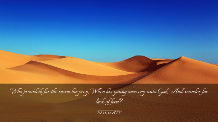 Picture 03 - Job 38:41 ASV Desktop Wallpaper - Who provideth for the raven his prey, When his - Desktop Bible Verse Wallpaper