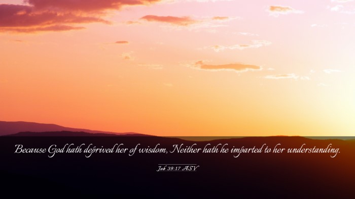 Picture 03 - Job 39:17 ASV Desktop Wallpaper - Because God hath deprived her of wisdom, Neither - Desktop Bible Verse Wallpaper
